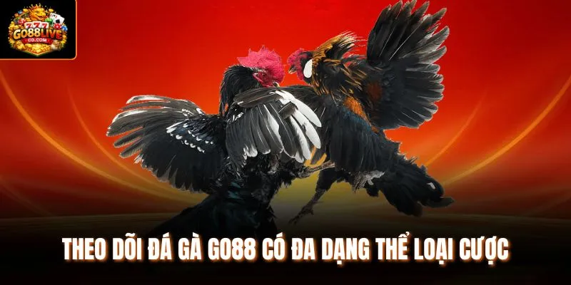 Theo dõi đá gà Go88 có đa dạng thể loại cược